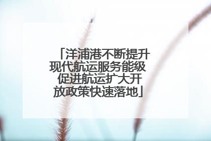 洋浦港不断提升现代航运服务能级 促进航运扩大开放政策快速落地