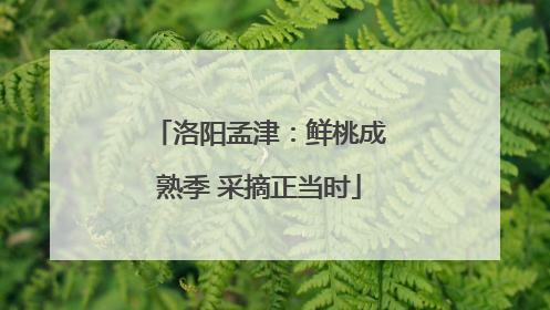 洛阳孟津：鲜桃成熟季 采摘正当时