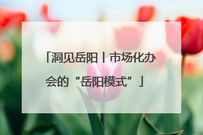 洞见岳阳丨市场化办会的“岳阳模式”