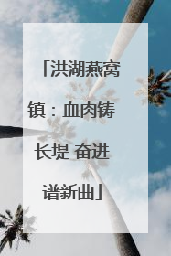 洪湖燕窝镇：血肉铸长堤 奋进谱新曲