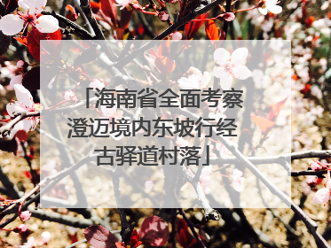 海南省全面考察澄迈境内东坡行经古驿道村落