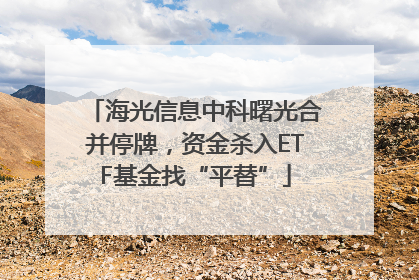 海光信息中科曙光合并停牌，资金杀入ETF基金找“平替”