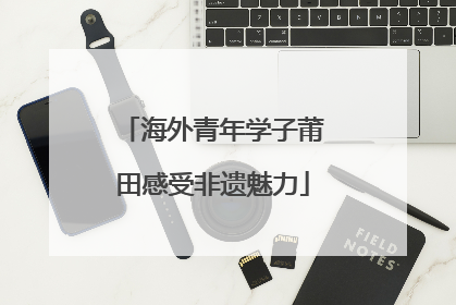 海外青年学子莆田感受非遗魅力