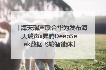 海天瑞声联合华为发布海天瑞声x昇腾DeepSeek数据飞轮智能体