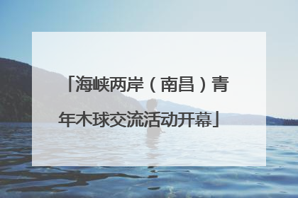 海峡两岸（南昌）青年木球交流活动开幕