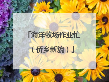 海洋牧场作业忙（侨乡新貌）