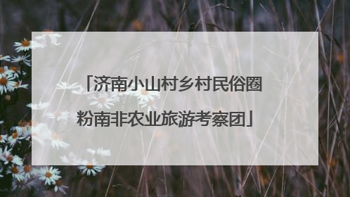 济南小山村乡村民俗圈粉南非农业旅游考察团
