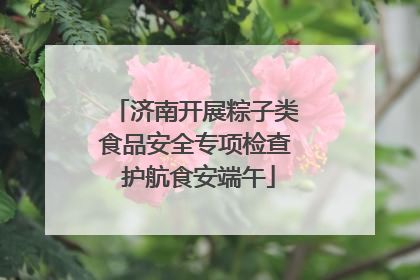 济南开展粽子类食品安全专项检查 护航食安端午