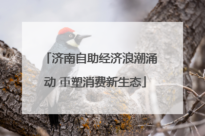 济南自助经济浪潮涌动 重塑消费新生态