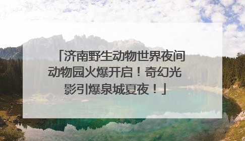 济南野生动物世界夜间动物园火爆开启！奇幻光影引爆泉城夏夜！