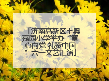 济南高新区丰奥嘉园小学举办“童心向党 礼赞中国”六一文艺汇演