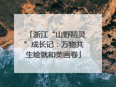 浙江“山野精灵”成长记：万物共生绘就和美画卷