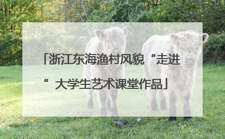 浙江东海渔村风貌“走进”大学生艺术课堂作品