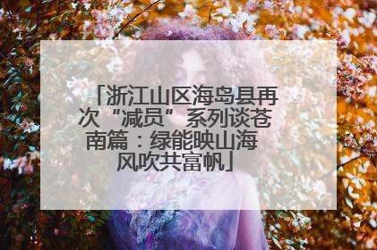 浙江山区海岛县再次“减员”系列谈苍南篇：绿能映山海 风吹共富帆