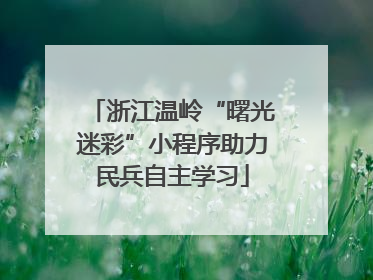 浙江温岭“曙光迷彩”小程序助力民兵自主学习