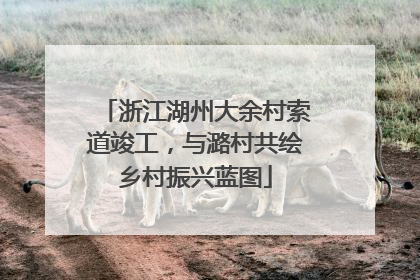 浙江湖州大余村索道竣工，与潞村共绘乡村振兴蓝图