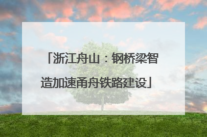 浙江舟山：钢桥梁智造加速甬舟铁路建设