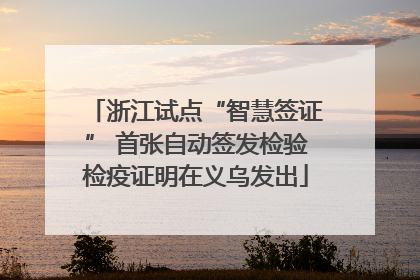 浙江试点“智慧签证” 首张自动签发检验检疫证明在义乌发出