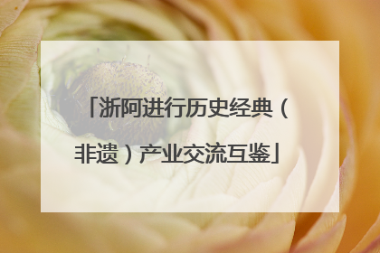 浙阿进行历史经典（非遗）产业交流互鉴