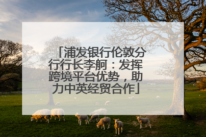 浦发银行伦敦分行行长李舸：发挥跨境平台优势，助力中英经贸合作