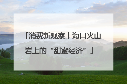 消费新观察丨海口火山岩上的“甜蜜经济”