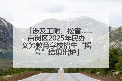 涉及工附、松雷……南岗区2025年民办义务教育学校招生“摇号”结果出炉