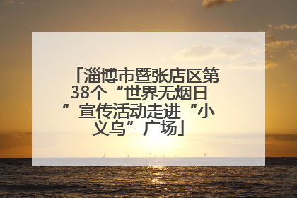 淄博市暨张店区第38个“世界无烟日”宣传活动走进“小义乌”广场
