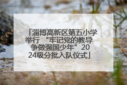 淄博高新区第五小学举行 “牢记党的教导 争做强国少年”2024级分批入队仪式