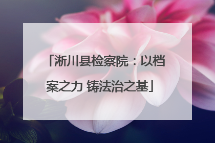 淅川县检察院：以档案之力 铸法治之基
