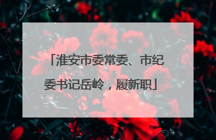淮安市委常委、市纪委书记岳岭，履新职