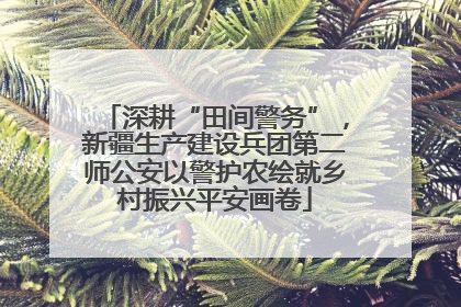深耕“田间警务”，新疆生产建设兵团第二师公安以警护农绘就乡村振兴平安画卷