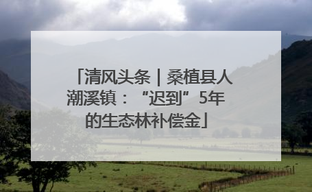 清风头条｜桑植县人潮溪镇：“迟到”5年的生态林补偿金