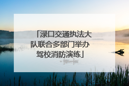 渌口交通执法大队联合多部门举办驾校消防演练
