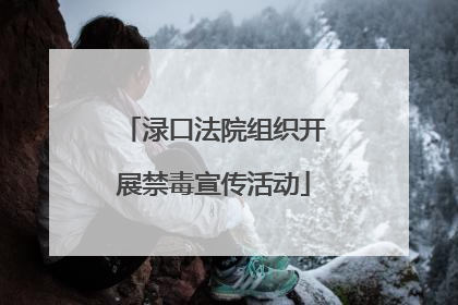 渌口法院组织开展禁毒宣传活动