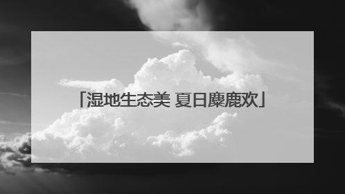 湿地生态美 夏日麋鹿欢