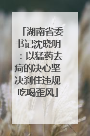 湖南省委书记沈晓明：以猛药去疴的决心坚决刹住违规吃喝歪风