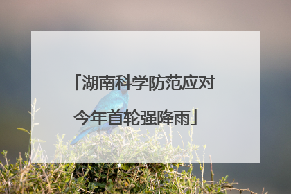 湖南科学防范应对今年首轮强降雨