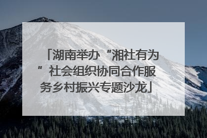 湖南举办“湘社有为”社会组织协同合作服务乡村振兴专题沙龙