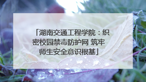 湖南交通工程学院：织密校园禁毒防护网 筑牢师生安全意识根基