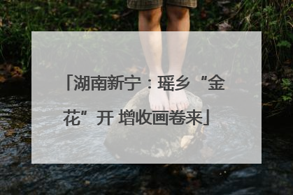 湖南新宁：瑶乡“金花”开 增收画卷来