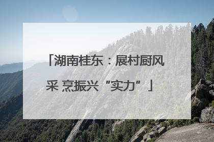 湖南桂东：展村厨风采 烹振兴“实力”