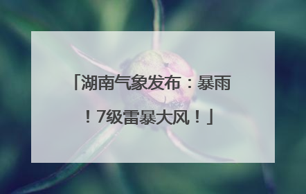 湖南气象发布：暴雨！7级雷暴大风！
