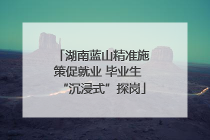 湖南蓝山精准施策促就业 毕业生“沉浸式”探岗