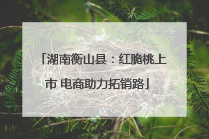 湖南衡山县：红脆桃上市 电商助力拓销路