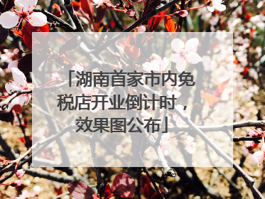 湖南首家市内免税店开业倒计时，效果图公布
