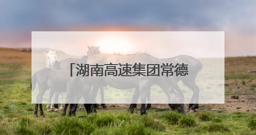 湖南高速集团常德分公司：冲刺“双过半” 全力保安畅