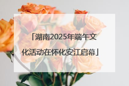 湖南2025年端午文化活动在怀化安江启幕