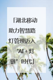 湖北移动助力智慧路灯管理迈入“AI＋灯链”时代