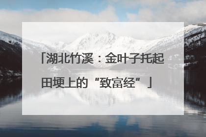 湖北竹溪：金叶子托起田埂上的“致富经”