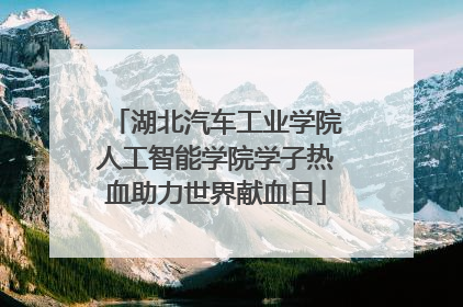 湖北汽车工业学院人工智能学院学子热血助力世界献血日